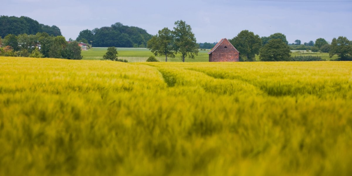 Das überwiegend flache Münsterland wurde und wird bis heute von der Landwirtschaft geprägt, die jedoch ein wenig auf dem Rückzug ist.