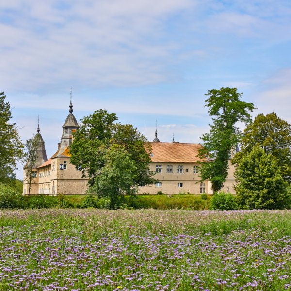 Das Wasserschloss Westerwinkel mit Blumenwiese im Ascheberger Ortsteil Herbern. Foto: Philipp Fölting