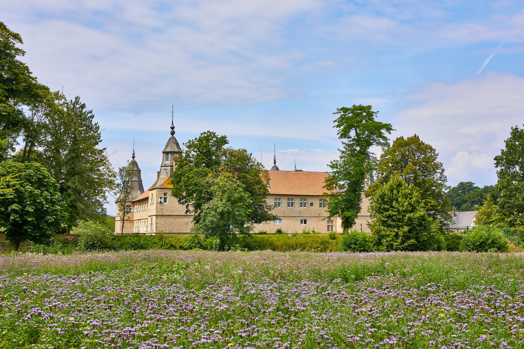 Das Wasserschloss Westerwinkel mit Blumenwiese im Ascheberger Ortsteil Herbern. Foto: Philipp Fölting