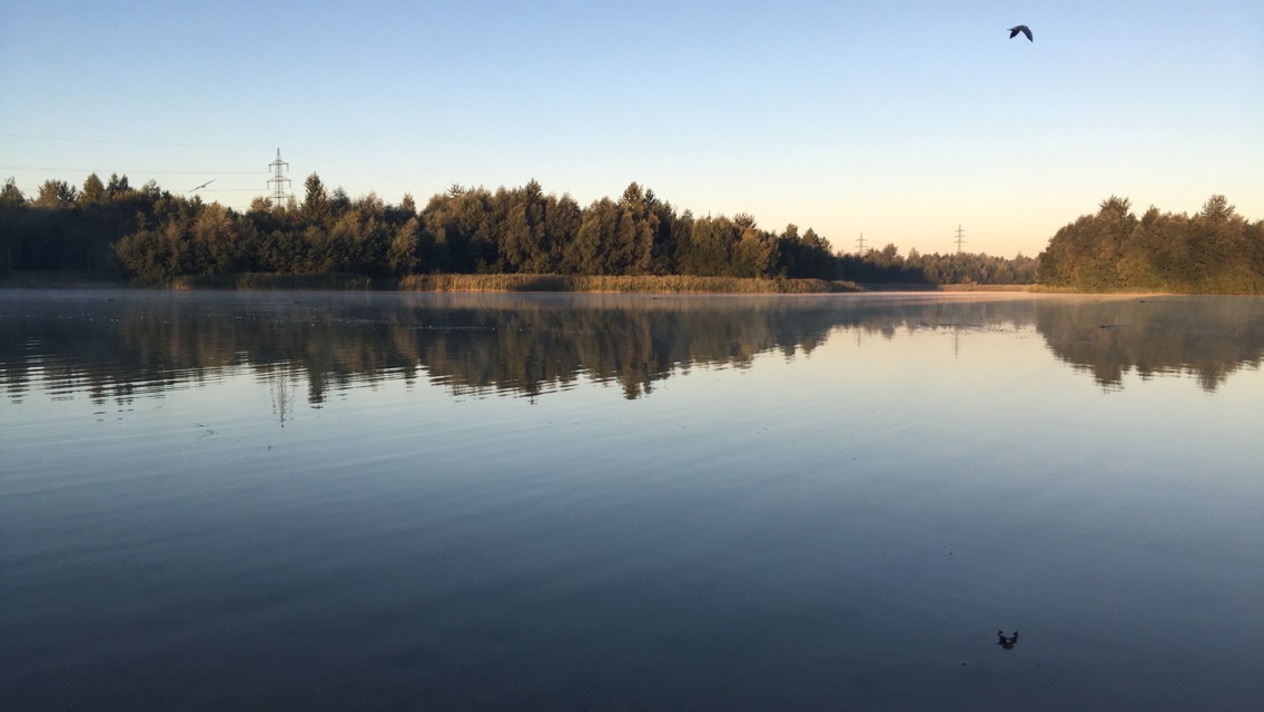 Horstmarer See bei Tagesanbruch